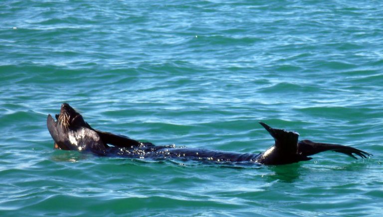 Sommer, Sonne, See und Strand.