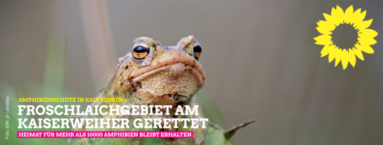 Sichere Heimat für Amphibien