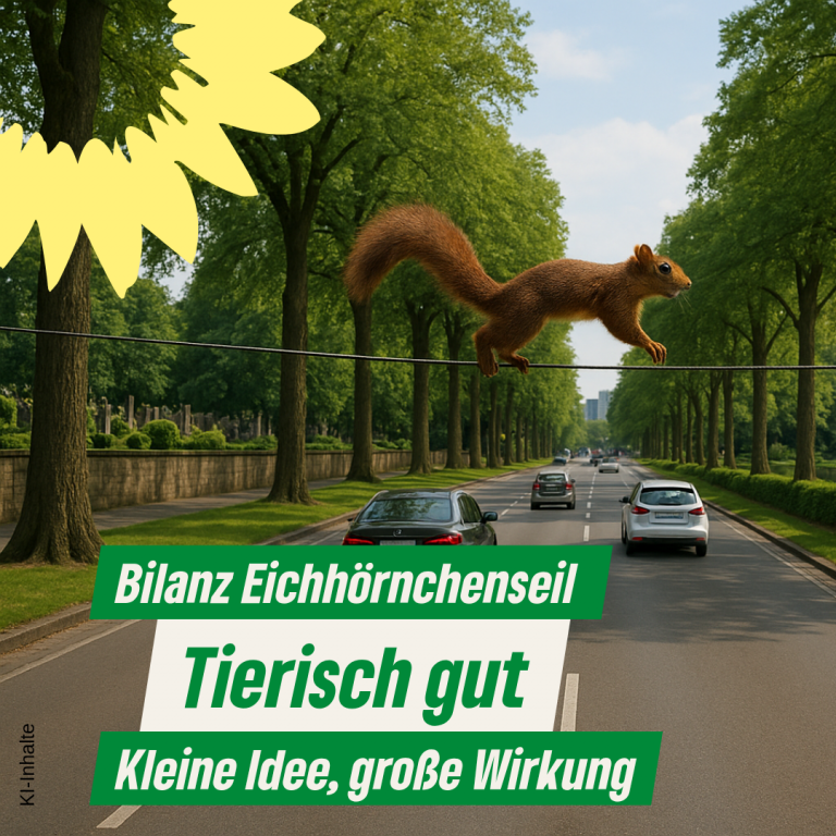 Mit kleinen Schritten Großes bewirken: Kaufbeuren hat das erste Eichhörnchenseil im Allgäu